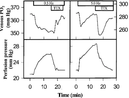 Fig. 2.8. Inhibition by tetrodotoxin (TTX) (0.3 gM) of venous P02 and perfusion pressure changes induced by low (0.5 Hz) and high (5 Hz) sympathetic nerve stimulation