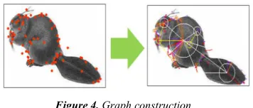Figure 4. Graph construction. 
