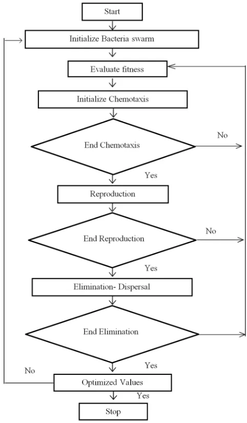 Figure 1. Flowchart for the RBFO. 