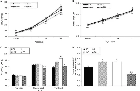 Table 5 Serum concentrations of LPS, hepatic protein content of TNF-α, IL-6 and IL-10, and IL-10/TNF-α ratio in the liver of 21-day-old rat offspring