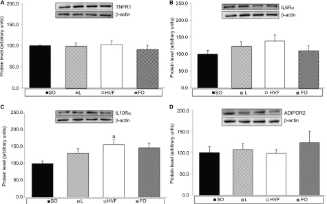 Figure 4 Effects of maternal intake of distinct sources of lipids during pregnancy and lactation on the protein expression of receptors involved in the inflammatory responses Abbreviations:of the 21-day-old rat offspring.Notes: (A) Protein expression of TN