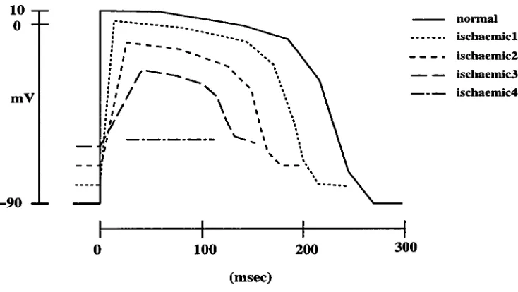 Figure 3.5: Illustration of ischaemic action potentials with different severity as used by 