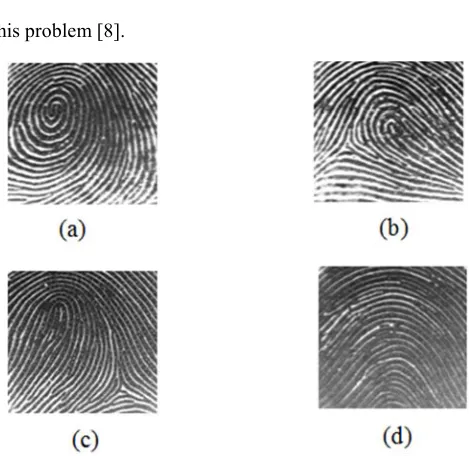 Figure 1. Fingerprints categories: (a) whorl, (b) right loop, (c) left loop, (d) arch