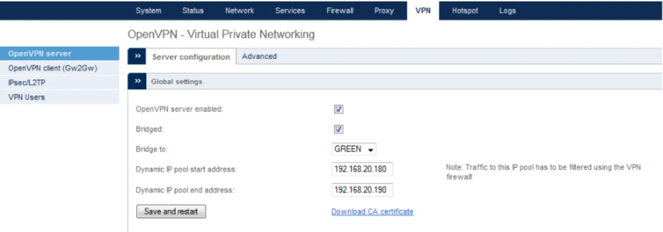 Figure 1 - Enable the VPN Server 