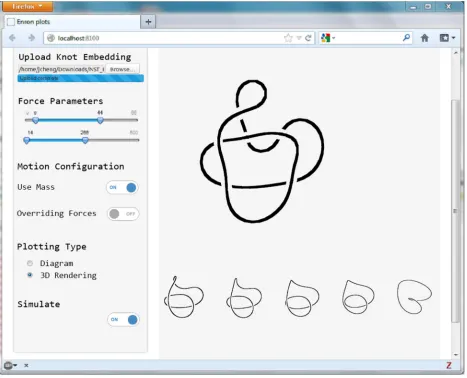 Figure 6. MathSimWeb: a web-based interface to define mathematical knots’ initial embedding, and generate knot images for the entire evolution
