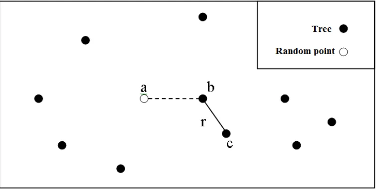 Figure 2: nearest neighbor sampling method  