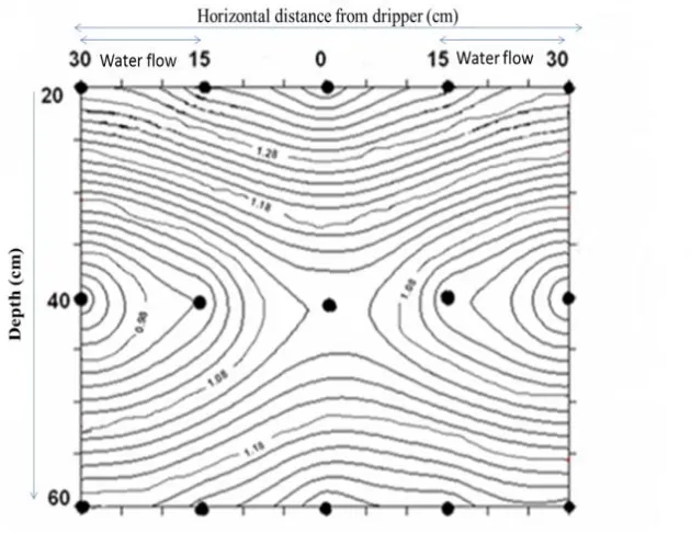 Figure 6. Distribution of salinity in the soil profile in surface drip irrigation method  