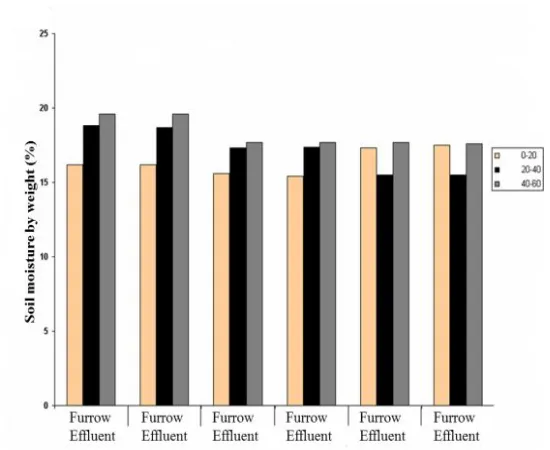 Figure 1. Soil moisture variations in various treatments and depths in the first soil sampling step 