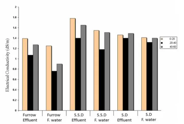 Figure 3. Soil salinity variations in various treatments and depths in the first soil sampling step 