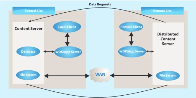 Figure 4: Single Repository with Replication