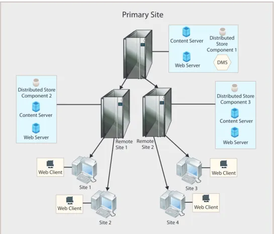 Figure 5: Single Repository with Distributed Storage