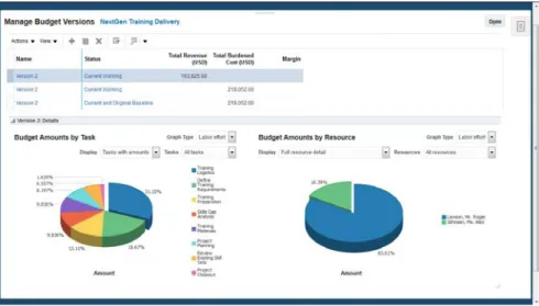 Figure 3. Managing Project Budgets 