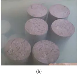 Figure 4. Molded cylindrical samples. 