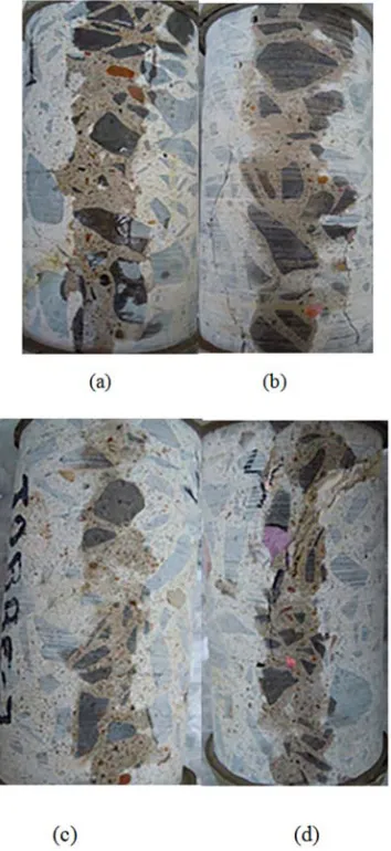 Table 5. Resistance to compression in molded samples. 