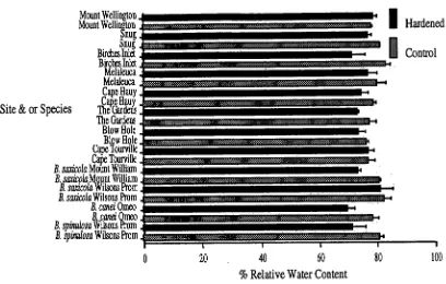 Figure 5.4. A comparison of the relative water content at turgor loss of hardened and unhardened species of Banks/a