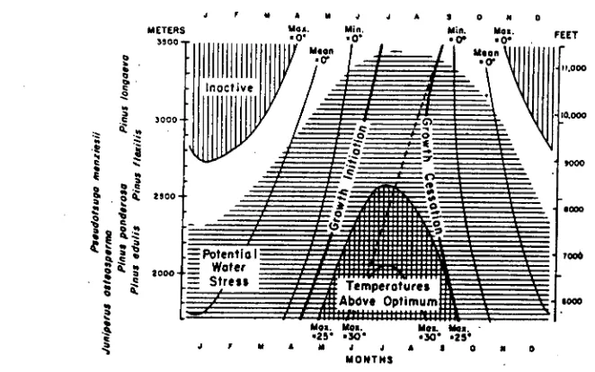 Figure 2.3. Temperature thresholds for several North American conifers. Plotted are the elevations and the approximate dates when maximum, mean, and minimum air 