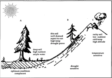 Figure 2.4. The principle of limiting factors. Tree A has optimum conditions for growth; moisture needs