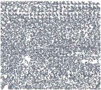 Figure 2: dispersion of tree in the study area (600×675 m)  