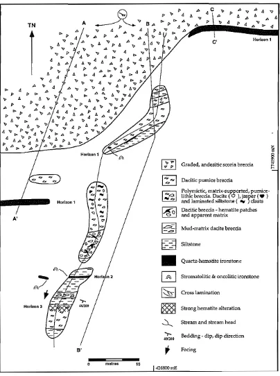 Figure 6.3 Detailed outcrop map showing the distribution of the principallithofacies and ironoxide±silica horizons at Trooper Creek prospect (around 7741900 mN, 426800 mE)