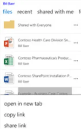 Figure 3 Mobile Web Experience