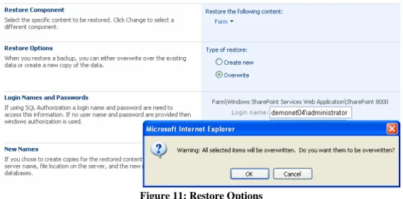 Figure 11: Restore Options 