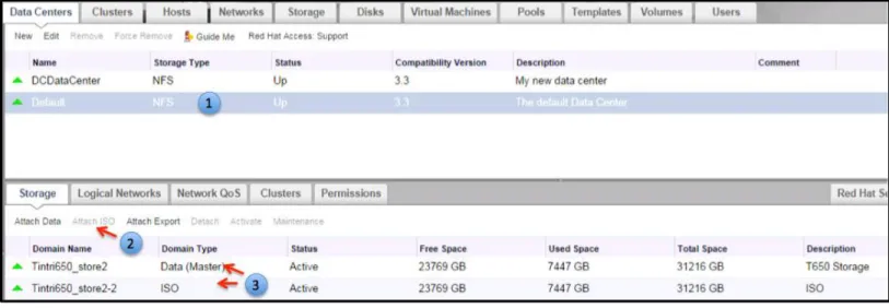 Figure 10: RHEV Data Center with two Storage Domains. 