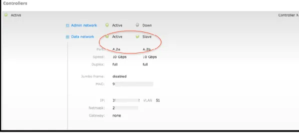 Figure 3: Active Controller on a Tintri VMstore. 