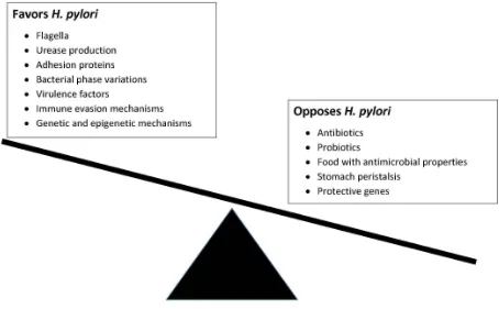 Figure 1: Conditions or forces that favor survival or elimination of H. pylori in the human stomach.