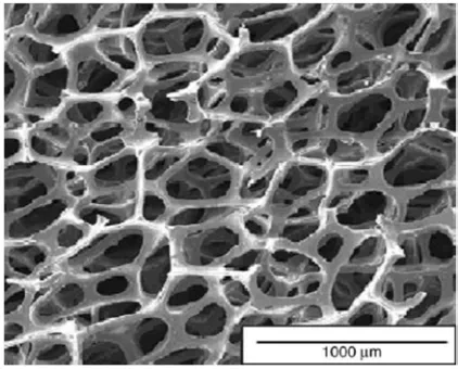 Figure 3. SEM image of RVCF matrix. 