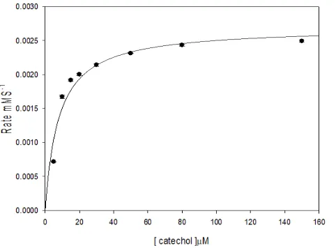 Figure 7. Oxidation of 1.0 mM catechol using 60 µM NiIIMPC with different concentrations of H2O2 at 25°C
