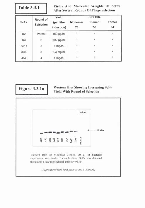 Table 3.3.1