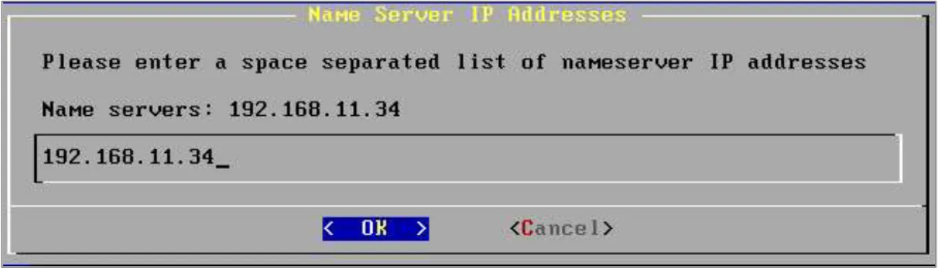 Figure 3-3: Nameserver IP addresses 