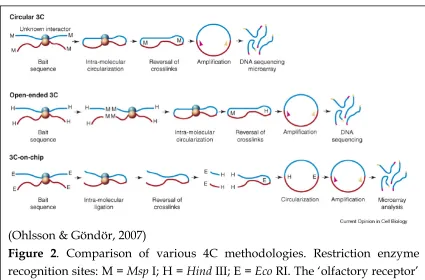 Figure 2. Comparison of various 4C methodologies. Restriction enzyme 