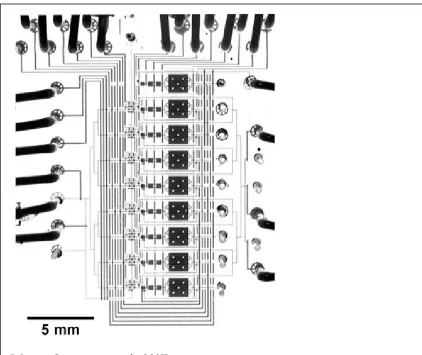 Figure 10. Photograph of a single cell isolation and genome amplification 