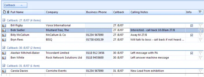 FIGURE 6  A CUSTOM VIEW USED WHEN CALLING LEADS OR CLIENTS