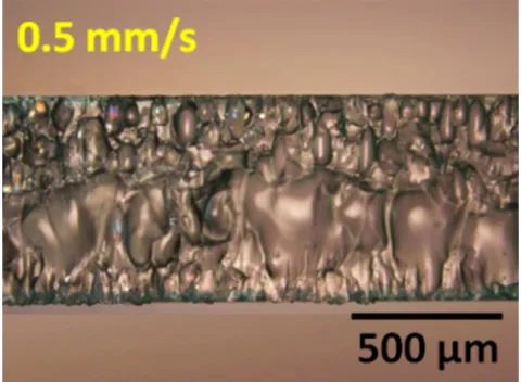 Figure 11. Optical image of the sidewall of the glass cut at speed of 0.5 mm/s. 