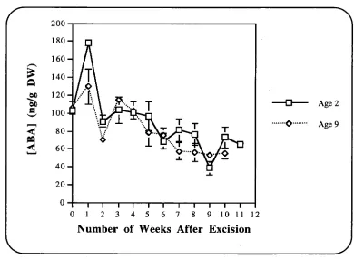 Figure IV.4.6 - Change in the mean concentration of endogenous abscisic acid (ABA), and associated standard error, in the basal stem region of 