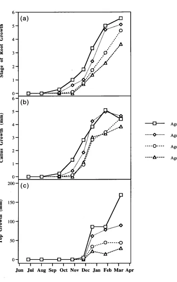 Figure IV.1.2 - (a) Average stage of adventitious root growth (0-6); (b) average amount of callus growth (mm) and (c) average amount of top growth (mm) of P