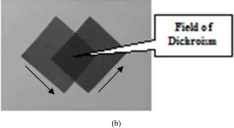Figure 4. PVA-films containing the dye A in parallel (a) and perpendicular (b) directions of stretching