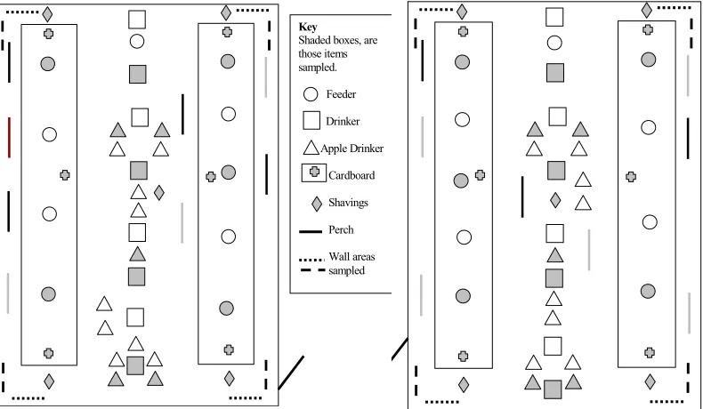 Figure 1a. Brooder five set up and tests           Figure 1b. Brooder six set up and tests carried 