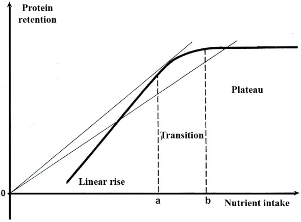 Figure 1 Representation of nutritional effects on the protein retention (Susenbeth, 
