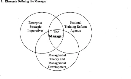 Figure 1: Elements Defining the Manager 