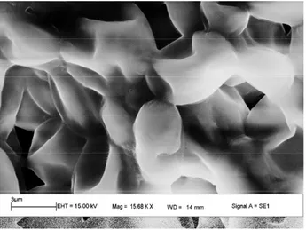 Figure 1. SEM analysis for isolated bacterium under 15.68 ×103 magnification. 