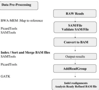 Figure 3. The workflow for generating realigned BAM file.  2.3. Processing Data for Calling Variants 