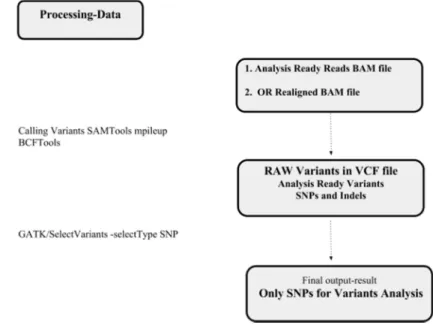 Figure 5. The workflow for calling variants by SAM Tools. 