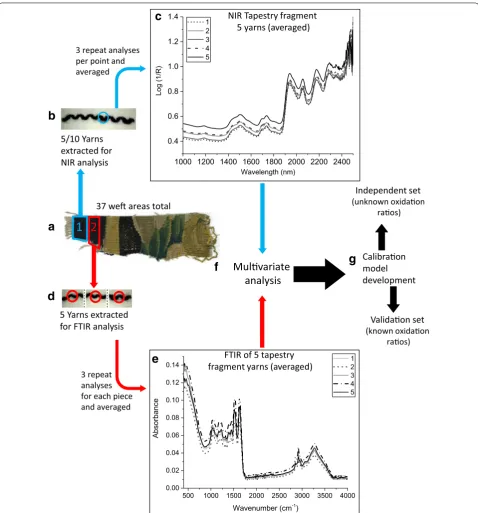 Fig. 3 Graphical representation of methodology on historic fragments. Red and black arrows = work carried out in this research and blue arrows = previous work carried out by McCullough (unpublished)
