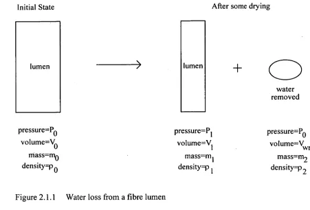 Figure 2.1.1 Water loss from a fibre lumen 
