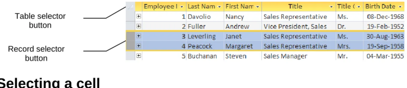 Table selector  button  Record selector 
