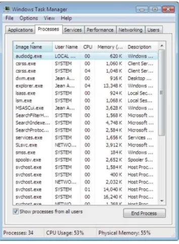 Figure 5-4 Vista processes for  all users 