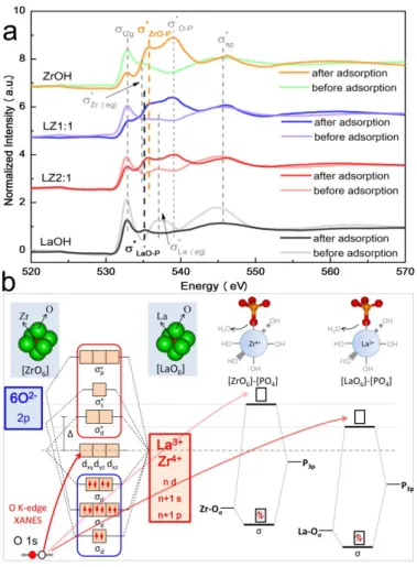 Figure  S10.  (a)  the  comparison  of  O  K-edge  XANES  spectra  for  La-,  Zr-  and  La/Zr  hydroxide  samples before and after phosphate adsorption, and (b) the schematic of their [MO 6 ] MOs before and  after phosphate adsorption.